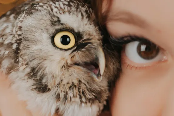 Casino Loco Win Podrška